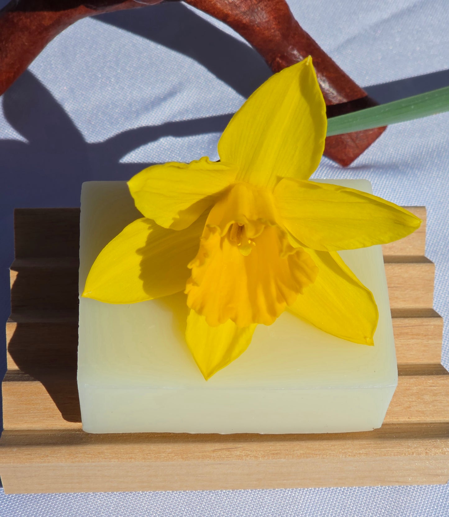 Soap Gift Set